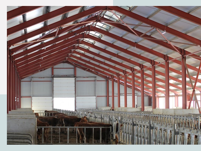 Строительство коровников в Павлово