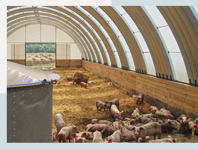 Строительство свинарников в Павлово